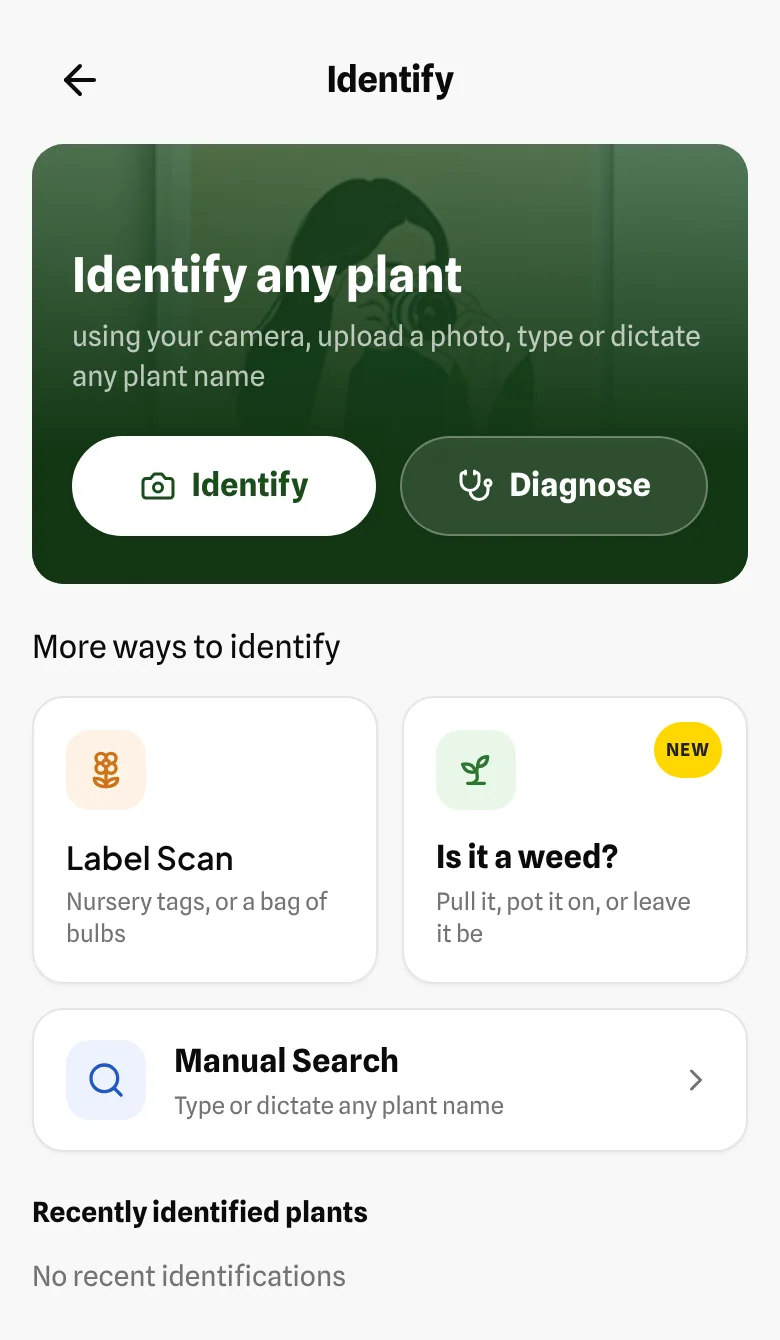 BeeWise's Identify screen: identify any plant, scan a label, or check whether it's a weed
